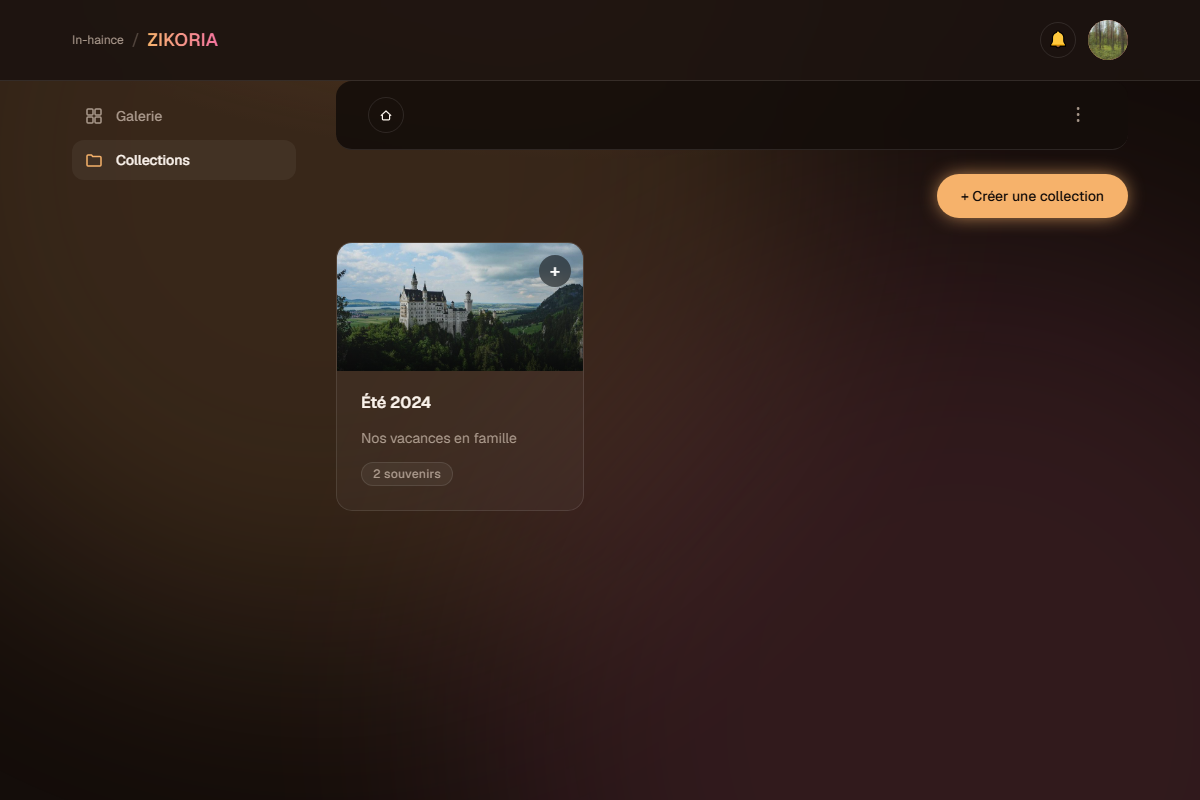 Vue Collections avec une collection Été 2024